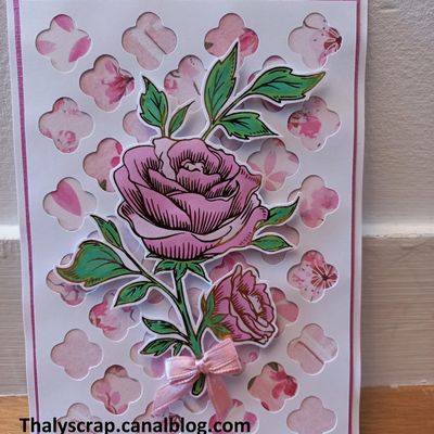 Déclinaison de roses...