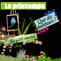 le printemps offre sa déco .... un renouveau magnifique.....