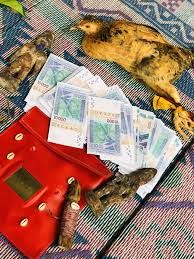 PORTEFEUILLE MAGIQUE D'ARGENT