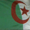 algerie mon amour l djazair