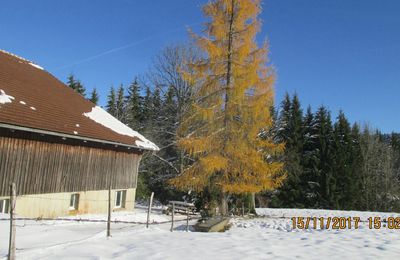 grosses bises à tous♥