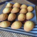 petites madeleines au citron