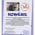 Homère cherche un foyer