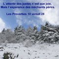 Proverbes 10 verset 28