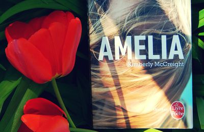 Pause Lecture: Amelia de Kimberly McCreight.