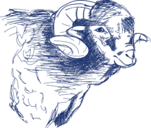 C'est  Noël à la Bergerie !!!!