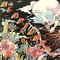 THE SHINS – Heartworms (2017)