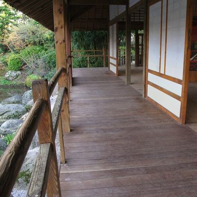 Thé au jardin japonais ?