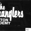 The Stranglers - Samedi 24 Février 1990 - Brixton Academy (London)