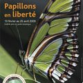 Papillons en liberté