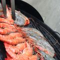 Crevettes à la plancha sur BBQ, sauce-aigre douce antillaise