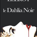 Le dahlia noir