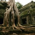 Ta Prohm