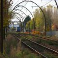Train d'automne à Ravesies