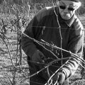 Tailleur de vignes