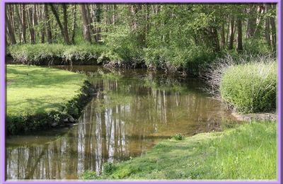 Petites rivières