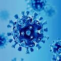 COVID : LES CONTAMINATIONS CONTINUENT DE DIMINUER.