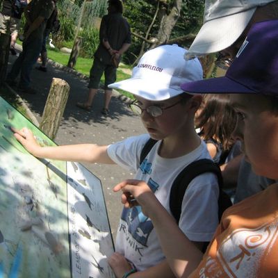 Colline aux marmottes