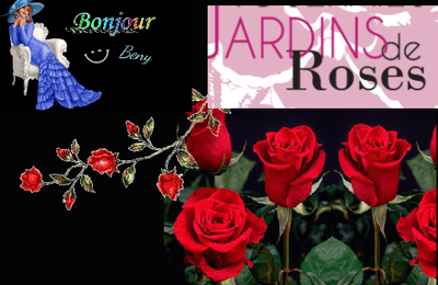 Créer un beau massif de roses  