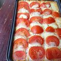Gratin tomates mozzarella