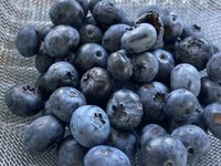 Groseilles à maquereaux, groseilles rouges (chez nous on dit raisinets) et myrtilles