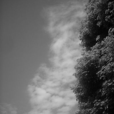 La tête en l'air...