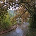 L'automne, du côté de l'aqueduc de Roquefavour
