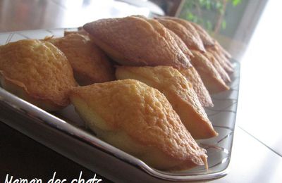 Mes 1éres madeleines ! 