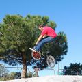 Bmx par scracthatax