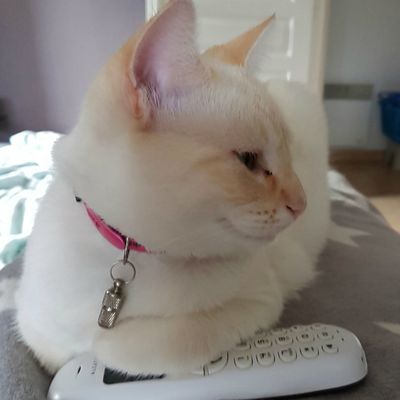 nan mais allo quoi ...!