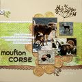 le mouflon corse