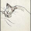 LA CHAMBRE ECLAIREE... Extrait
