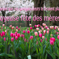 BONNE FETES DES MAMANS ! 