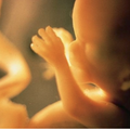 Le « Planning familial » veut l’avortement libre jusqu’au terme de la grossesse