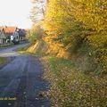 Les Ardennes en automne