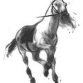 Cheval de retour 