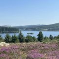 Tour du lac de Vesoles ou Vézoles (Haut-Languedoc)