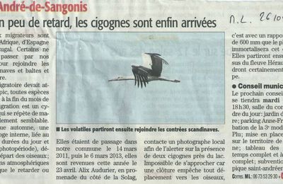 Encore une autre espèce d'oiseaux, en migration, à Saint-André-de-Sangonis (article Midi Libre)