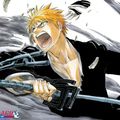 Bleach