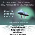 Le forum Mycélium : le secret des champignons.