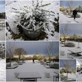 la baie de somme en hiver