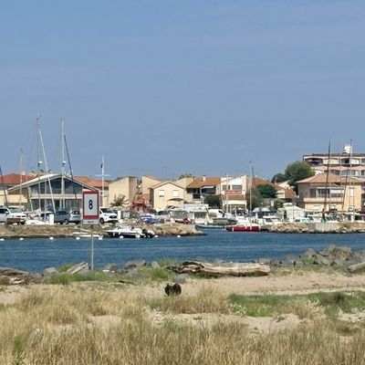 Retour de vacances à la mer ...