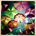 Le Portugal sort ses parapluies en Juillet 