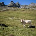 Col du Pourtalet 