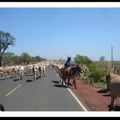 Sur les routes du Brésil