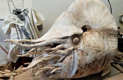 Projet Le Nautilus et le Nautile