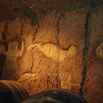 ROCHECORBON (suite caves à vin)