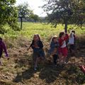 26/09/2020: BEIGNON cueillette des pommes par les enfants des écoles