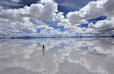Beau, juste beau...