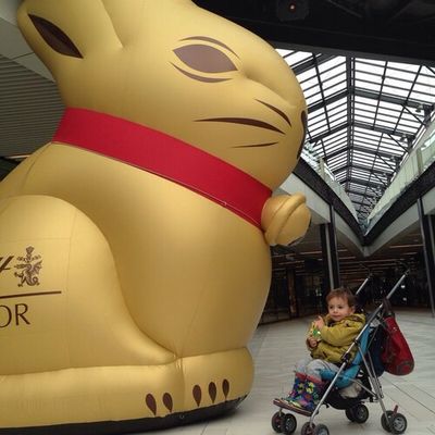 Maman, je crois que j'ai trouvé le lapin de Pâques  !